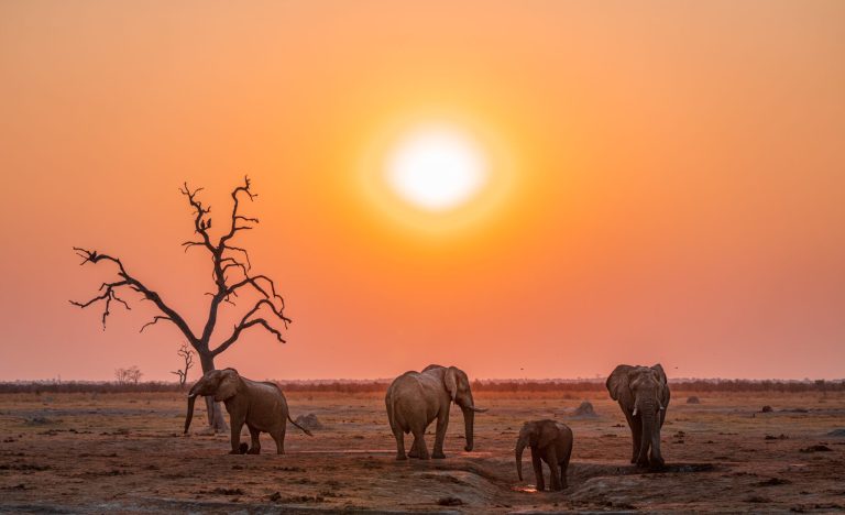 2 Days Tarangire NP & Ngorongoro Crater